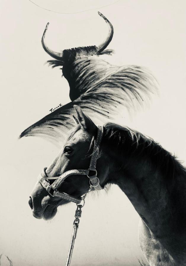 Gites Equestres Lou Caloun - Les Saintes Maries De La Mer Buitenkant foto