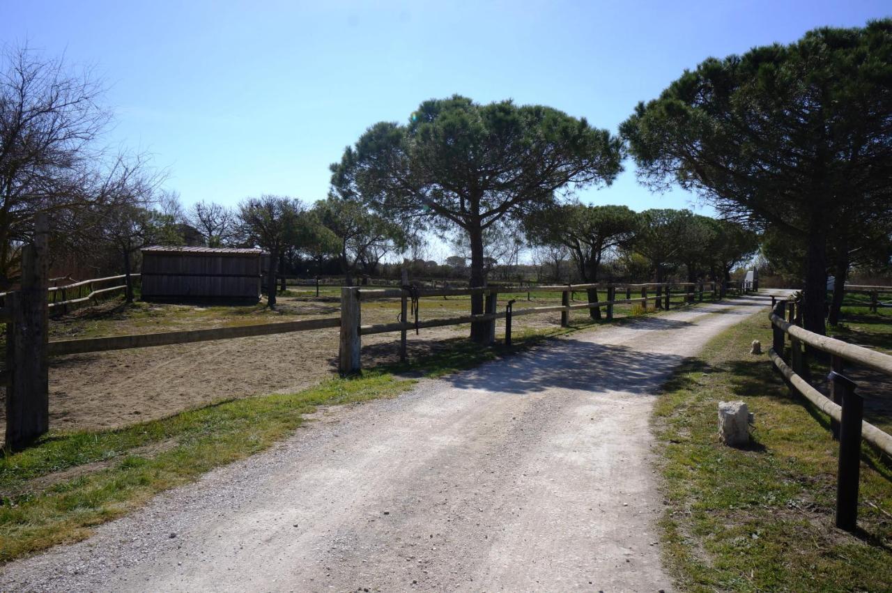 Gites Equestres Lou Caloun - Les Saintes Maries De La Mer Buitenkant foto