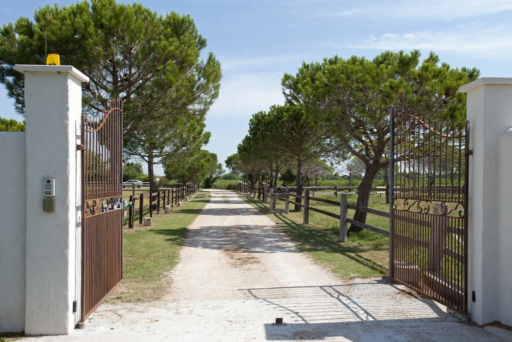 Gites Equestres Lou Caloun - Les Saintes Maries De La Mer Kamer foto
