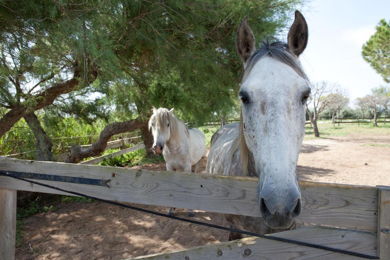 Gites Equestres Lou Caloun - Les Saintes Maries De La Mer Buitenkant foto